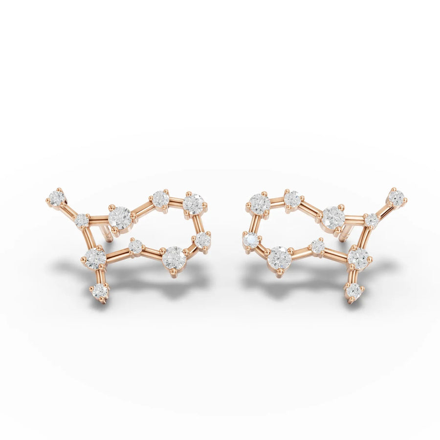 Rose gold constellation earrings profile