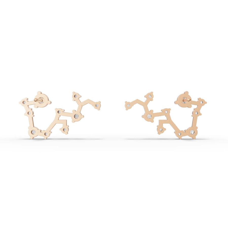 Side-angle rose gold constellation earrings
