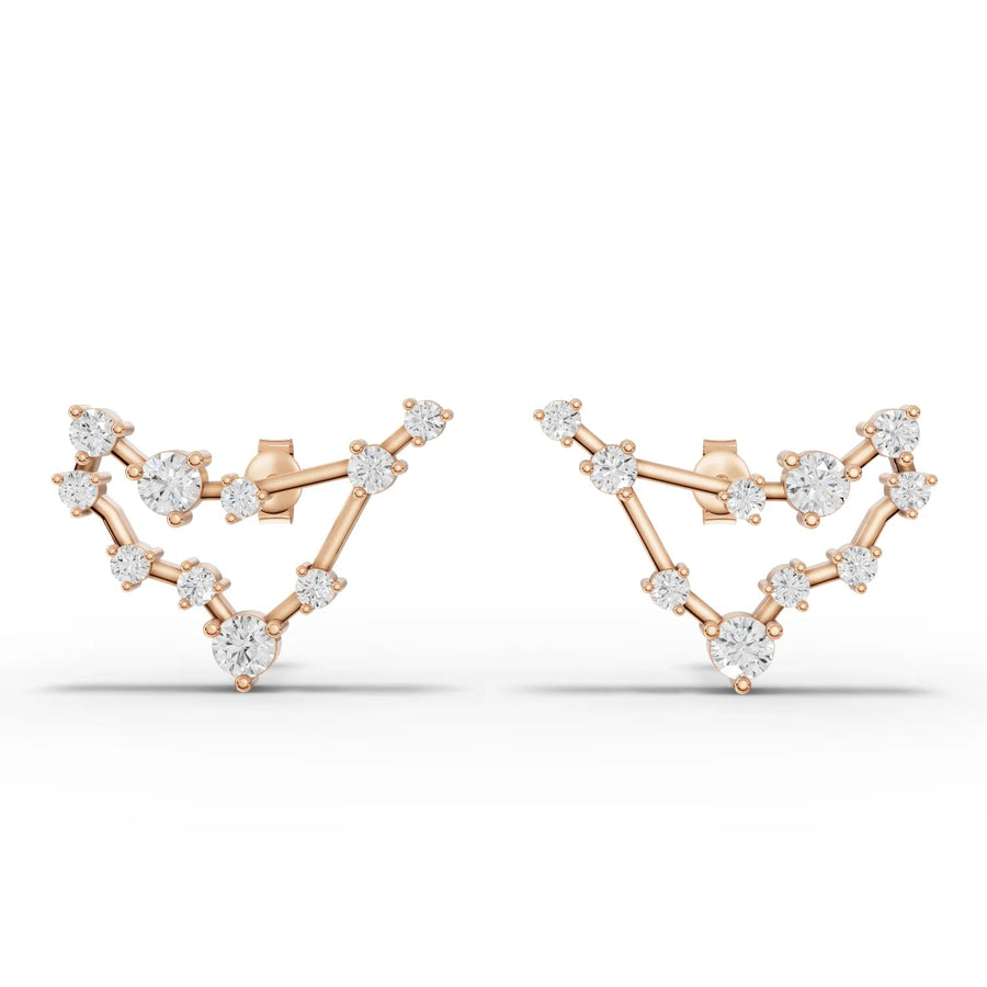 Capricorn constellation earrings rose gold front view