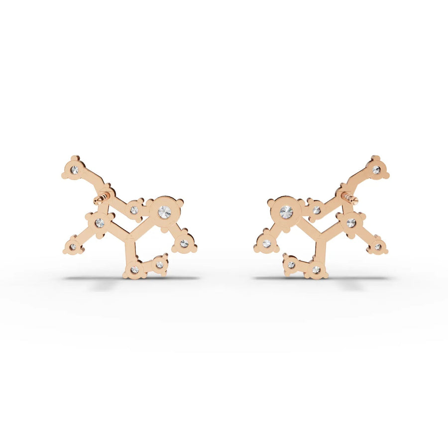 Side profile rose gold constellation earrings