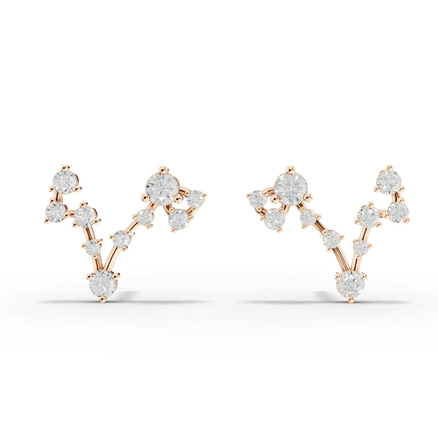 Pisces constellation earrings rose gold front view