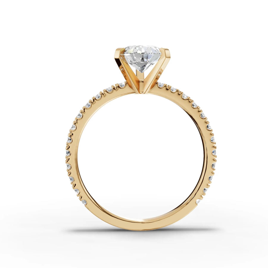 Yellow gold brilliance macro