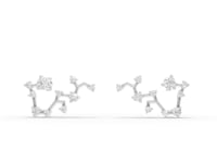 360° rotation video of Sagittarius constellation earrings