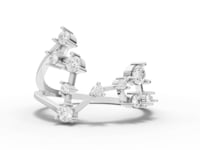 360 rotation of Pisces constellation open ring